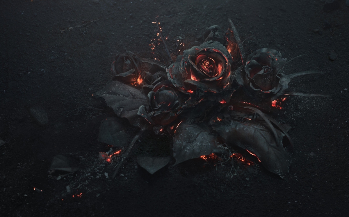GUEST POST: Burning Roses